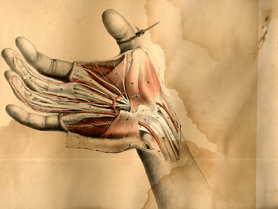 Nerve Damage during Carpal Tunnel Syndrome